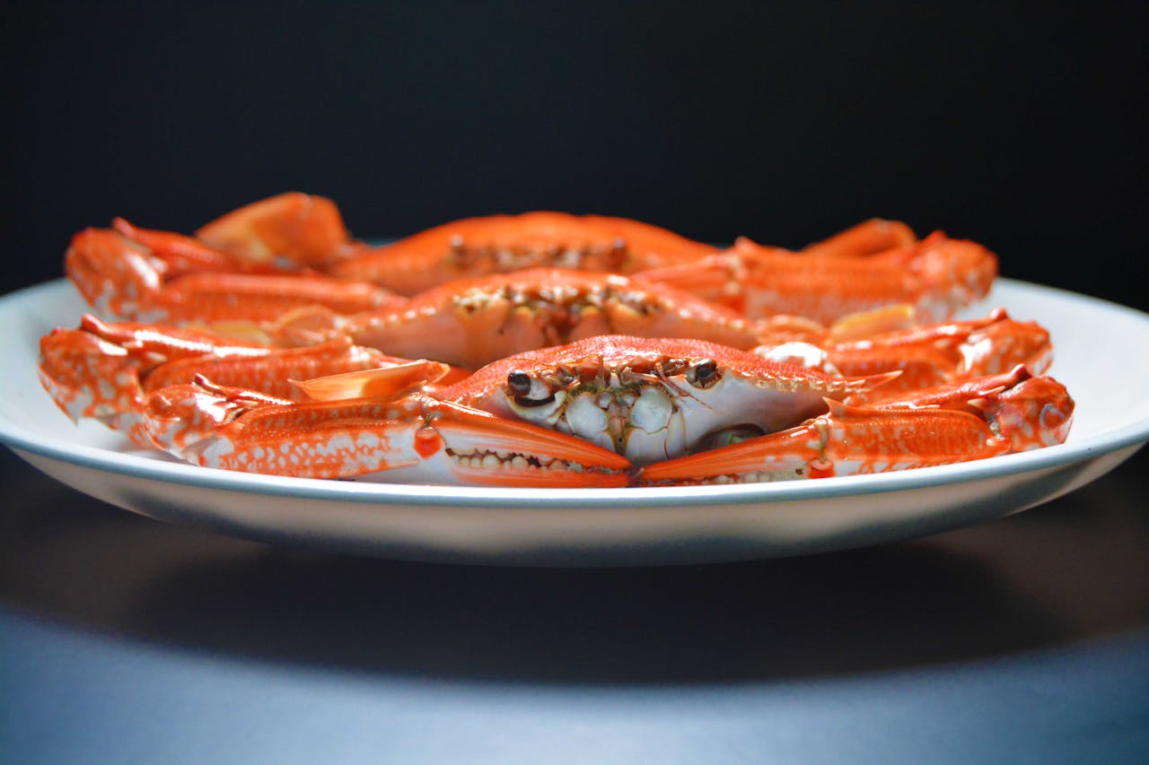 seafood