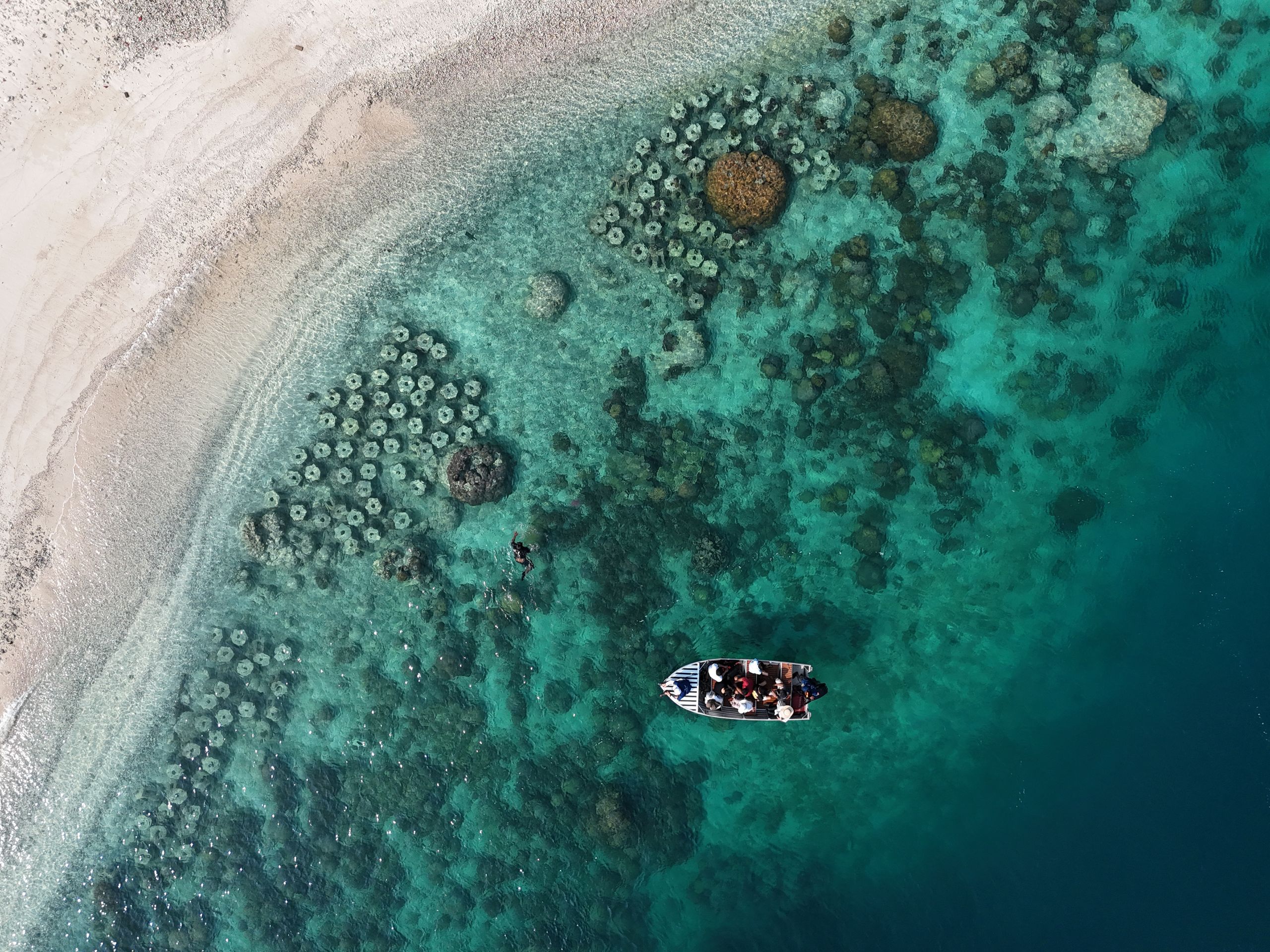 Biorock Reef Project
